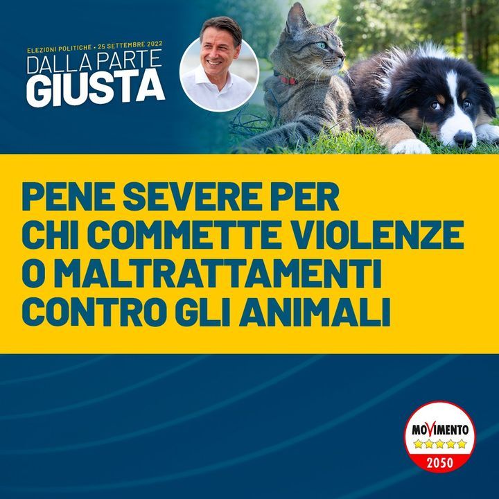 AgainCarlakak's tweet photo. Conte e gli sciacquapiatti stellati di regime si tutelano prima di affrontare le piazze elettorali chiedendo rispetto per tutti i Dudù scodinzolanti.
#M5Servi https://t.co/NptAW4adwe