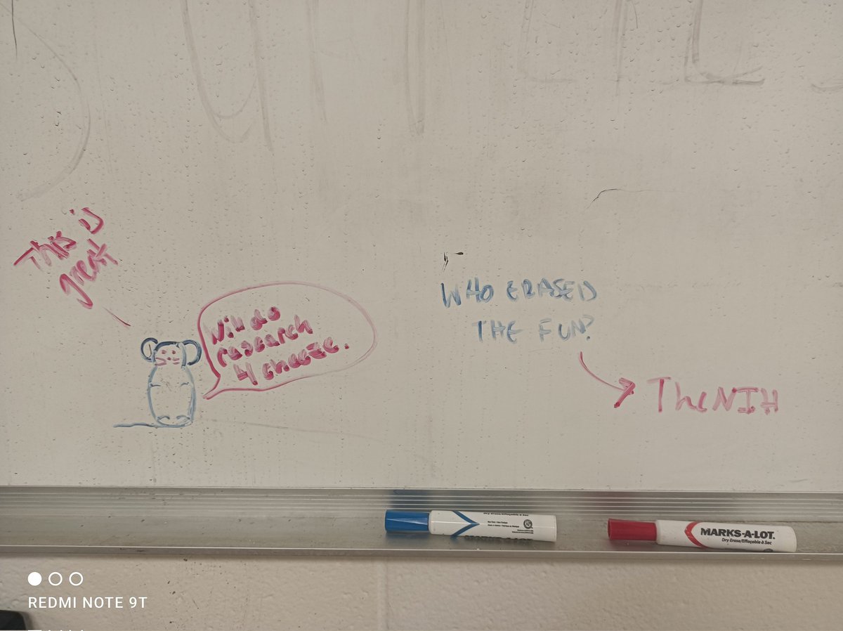 Canxuki's tweet image. Thanks to the creative and funny soul who drew this in the animal facility. It makes me smile everyday.

#DropsOfJoy #PostdocLife #Smile