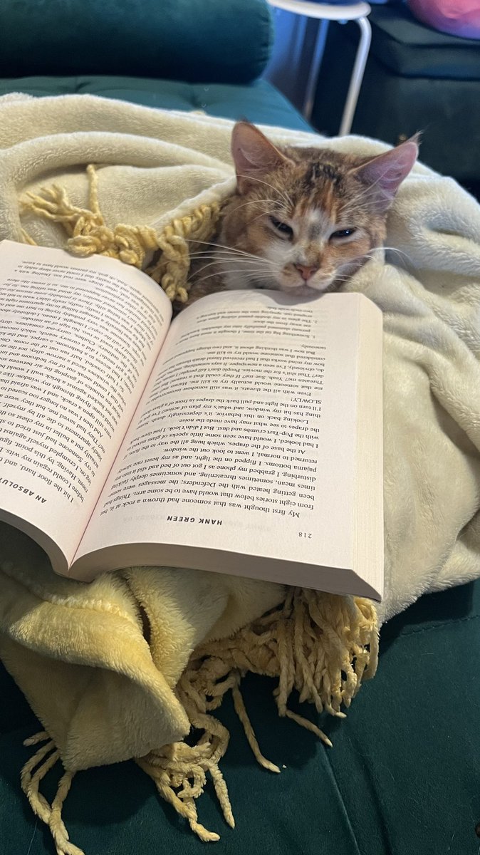 lil__pierogi's tweet photo. @hankgreen Turnips all tucked in for cozy reading https://t.co/Jbl7vvFrvQ
