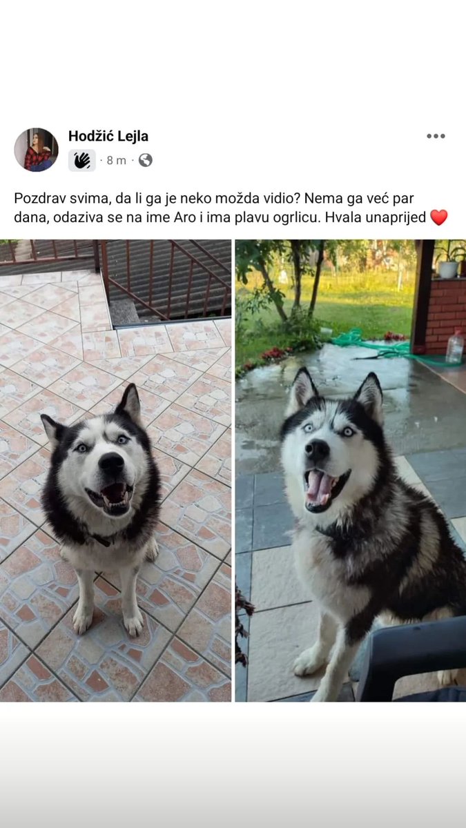 LJUDI JEDNA MOLBA 

Nestao je pas na Ivicima Brčko, haski i zove se Aro, ima plavu ogrlicu...
Molim Vas ako možete da ga pronađemo ❤

RT RT RT RT RT