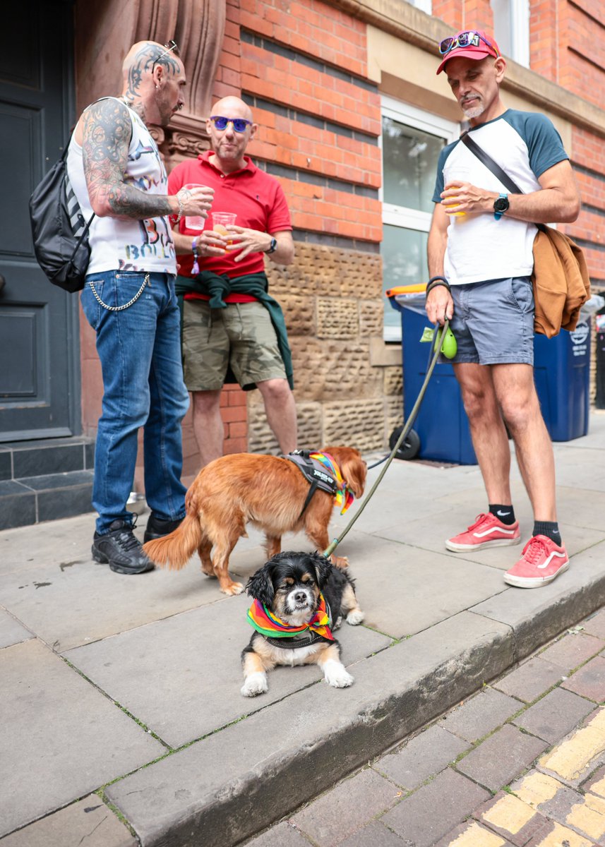 CityLifeManc's tweet photo. The celebrations are underway! π³οΈβπ
Make sure you tag us in any of your #DogsAtPride photos π· https://t.co/gvSlc1b0Ku