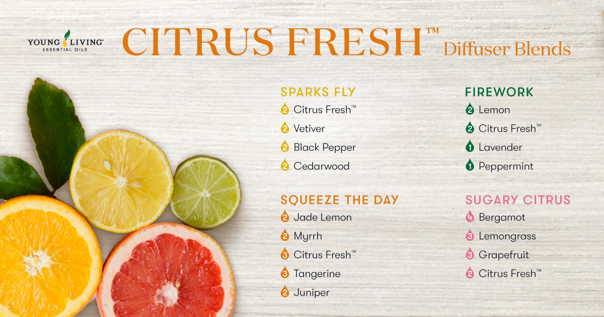 Which blend will you try first? Drop an emoji in the comments to vote:

🍭 Sugary Citrus
🍊 Squeeze the Day
✨ Sparks Fly
🎆 Firework

#diffuserblends #yleo