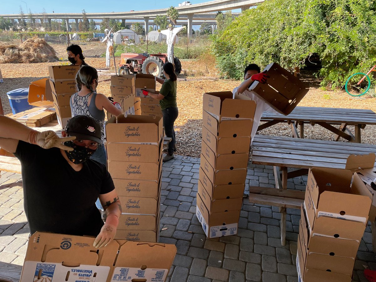 Veggielution's tweet photo. Fridays on the farm are for Farm Box Packing!
#SanJose #UrbanAg #FarmBox #LocalFood #FoodSystem https://t.co/QCaXZ2iQ8r
