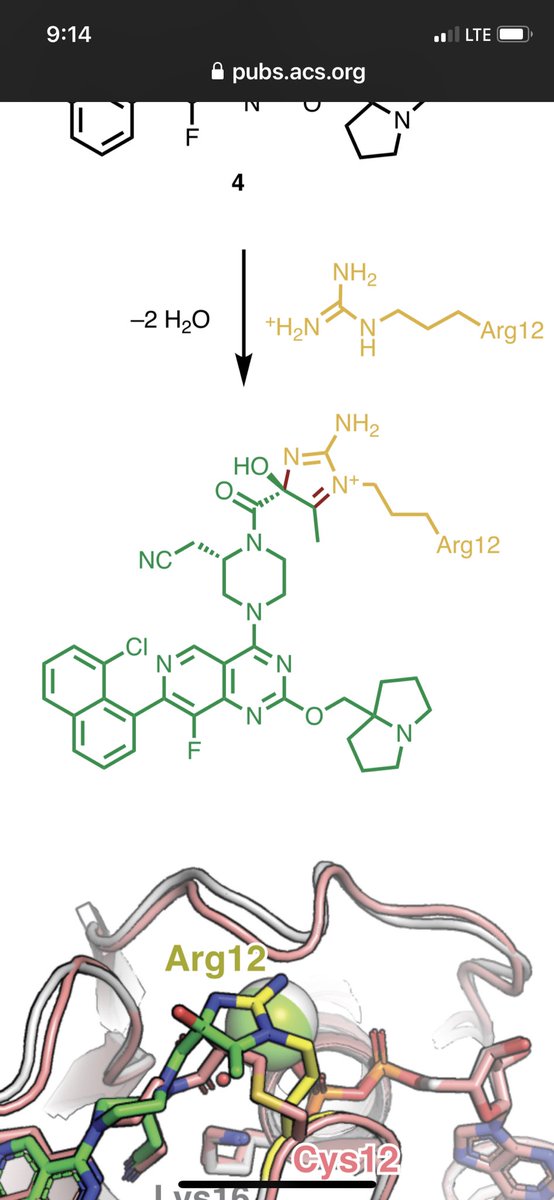 Kevan Shokat (@kevansf) on Twitter photo The to-do list is getting shorter. #G12R. The next #KRAS oncogene targeted by covalent chemistry. Great work <a href="/bignerdzzy/">Ziyang Zhang</a> <a href="/UCB_Chemistry/">College of Chemistry</a> <a href="/mo_hannes/">Johannes Morstein</a> <a href="/ace_eckert/">Andrew Eckert</a> <a href="/UCSF/">UC San Francisco</a> <a href="/HHMINEWS/">HHMI</a> <a href="/UCSFCancer/">UCSF Helen Diller Family Comprehensive Cancer Ctr</a> <a href="/acsJACS/">Journal of the American College of Surgeons (JACS)</a> pubs.acs.org/doi/10.1021/ja… The to-do list is getting shorter. #G12R. The next #KRAS oncogene targeted by covalent chemistry. Great work <a href="/bignerdzzy/">Ziyang Zhang</a> <a href="/UCB_Chemistry/">College of Chemistry</a> <a href="/mo_hannes/">Johannes Morstein</a> <a href="/ace_eckert/">Andrew Eckert</a> <a href="/UCSF/">UC San Francisco</a> <a href="/HHMINEWS/">HHMI</a> <a href="/UCSFCancer/">UCSF Helen Diller Family Comprehensive Cancer Ctr</a> <a href="/acsJACS/">Journal of the American College of Surgeons (JACS)</a> pubs.acs.org/doi/10.1021/ja…