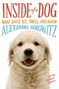 BlazeLibrary's tweet photo. Celebrate #nationaldogday2022 with these books by @DogUmwelt, #rickbragg, @JennyBoylan & @wbrucecameron ! #dogs #DogsOnTwitter https://t.co/uWtxzp8qCQ
