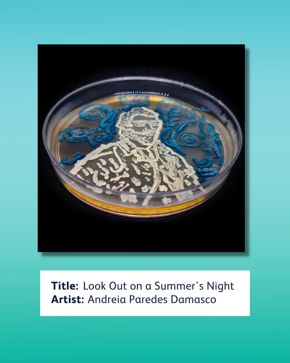 AMResistance's tweet photo. Our goal is to highlight art from global creators, in multiple mediums, as we make an effort to understand AMR through imagination and creativity.
This was created by Andreia Paredes Damasco, called Look Out on a Summer's Night.
π· #AMResistanceFighters #MicrobialArt #AMRArt https://t.co/54YpFq6Mii