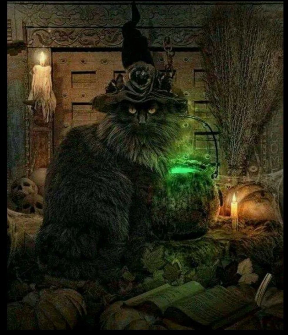 Мистический кот