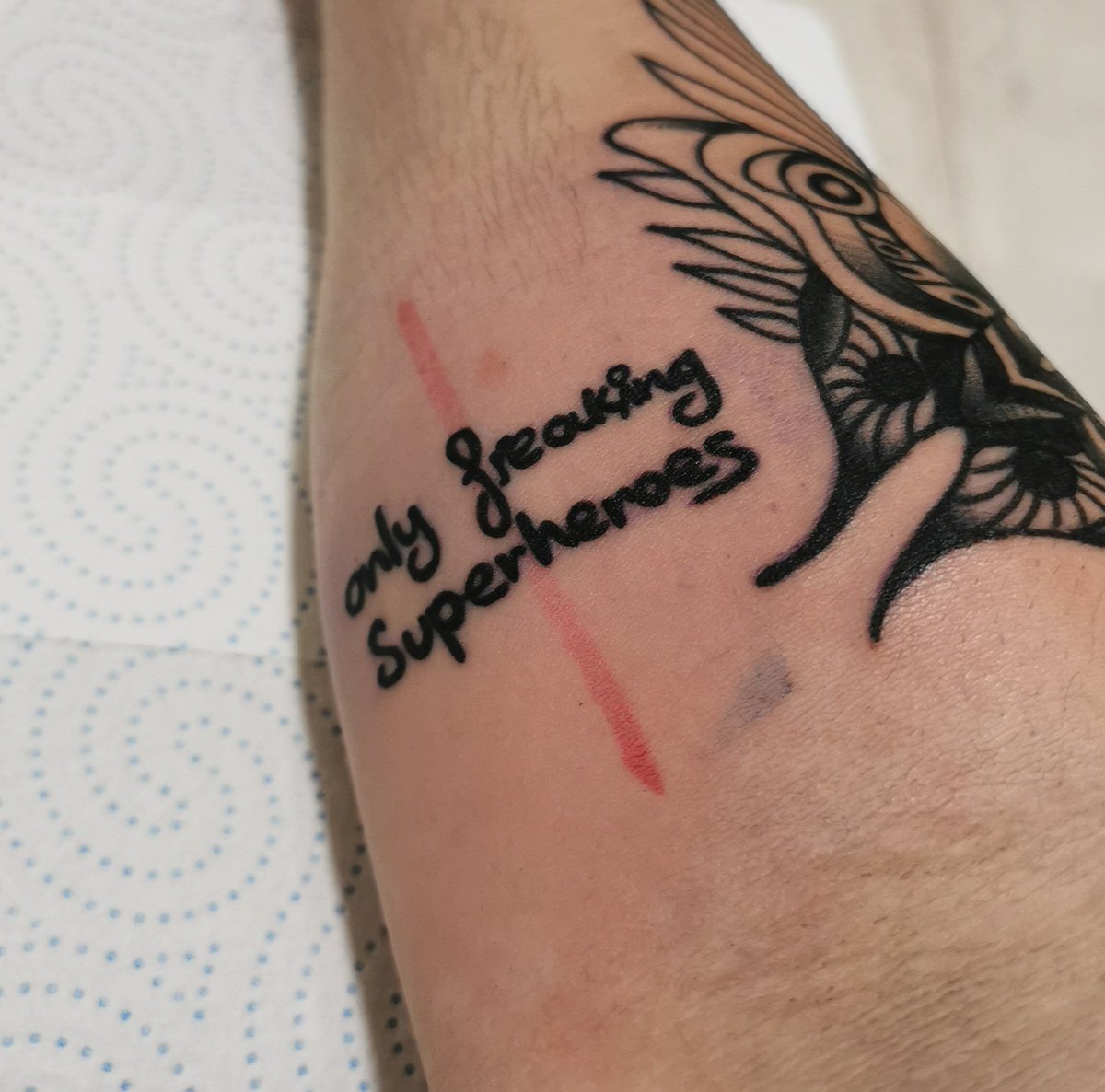 Mireia 🐨 tweet media