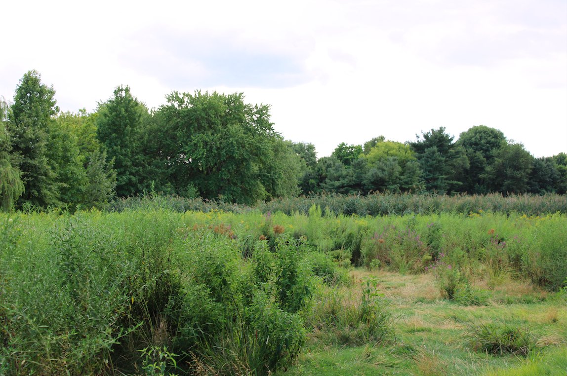 LandHealth Institute tweet media