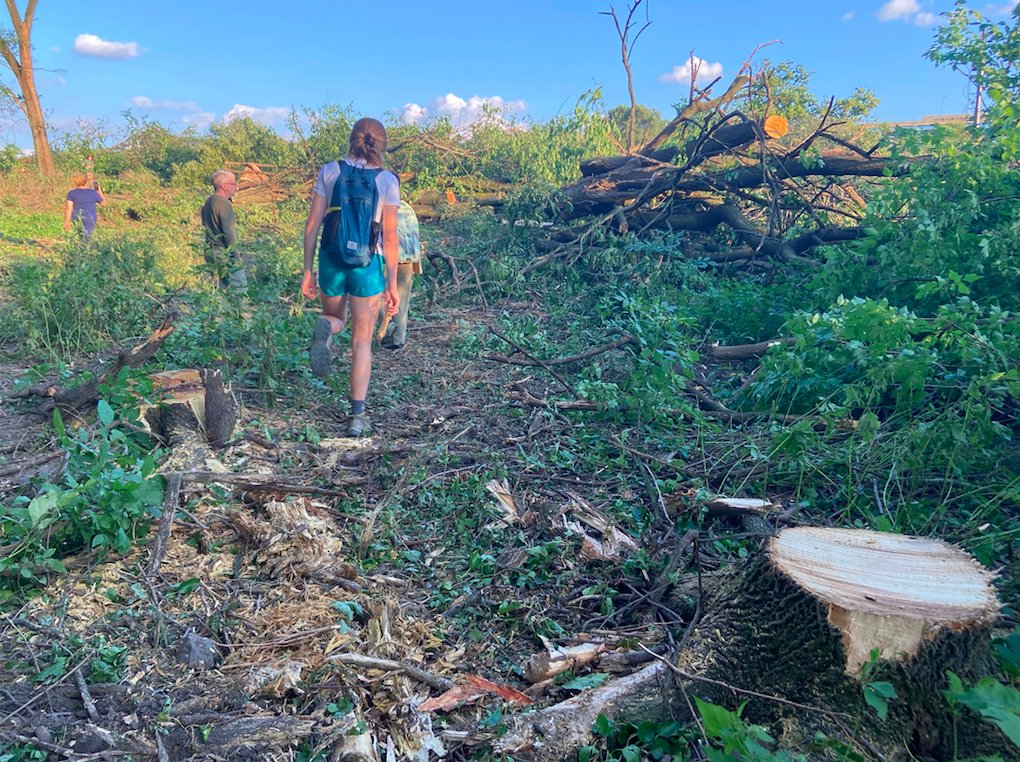 LandHealth Institute tweet media