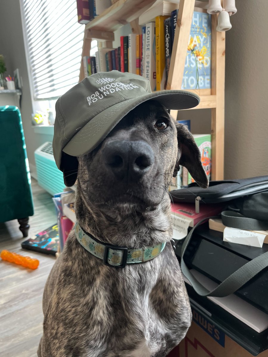 bwforg's tweet photo. A very happy #InternationalDogDay to all the pups, pooches, and dog parents out there! Adopting a service dog is an excellent treatment for #veterans struggling with PTSD, service-related injuries, and mental health. #dogsrule #VetsandPets #GotYour6 @AMDougherty https://t.co/iL6EHBCVXD