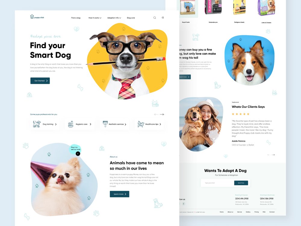 sohanasarin's tweet photo. Are You Looking for Website? #UI #ux #landingpage #ComingSoon page online #store #App | #redesign 

Hire Me🥰:https://t.co/AURxrX2dvI

#figma #web3 #quote #ETH #TalkThatTalk #UEFA #InternationalDogDay #pricecap #HoldMeCloser #ligermoviereview #XRP #BETWEEN1and2 #BTC #MUFC #Crypto https://t.co/R1Aapo7dvm