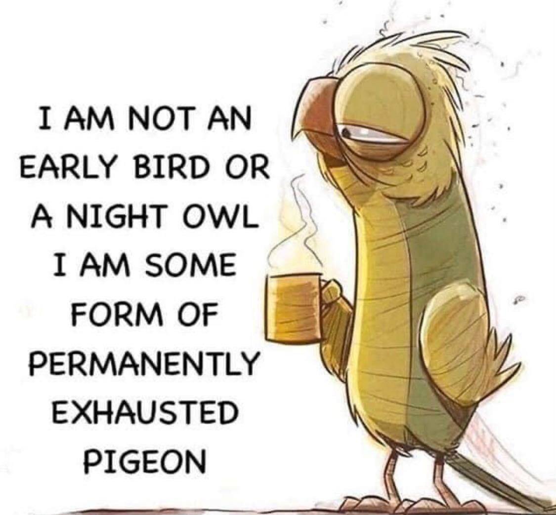 Izar Tarandach tweet media