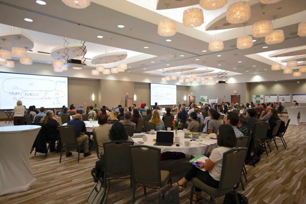 RIPEproject's tweet photo. #ICYMI: @IGB held the #RubiscoSymposium2022 to celebrate the 50th anniversary of Bill Ogren’s discovery of rubisco oxygenase activity that linked photorespiration and photosynthesis via one enzyme. 

Learn more about Bill Ogren and his research: https://t.co/oBlYhLiJde https://t.co/oB0JiCFMmJ