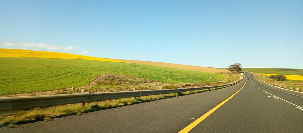 Positivity has a colour – it's yellow, blue and green 💙💚💛

#westerncape #travelchatsa