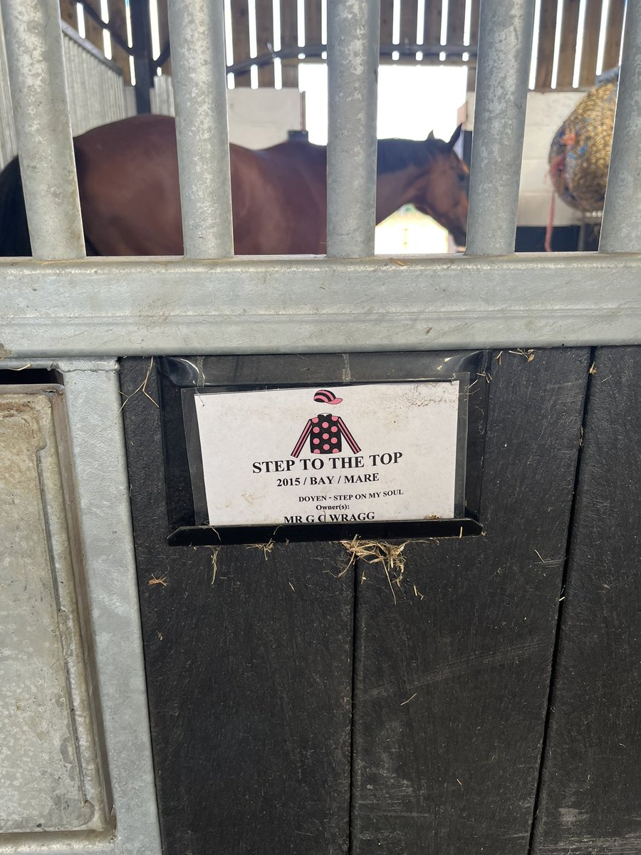 AdamRWragg's tweet photo. Great morning visiting @C_LidsterRacing at @EboracumRacing stables to see Daphne (Step To The Top) and the first of our progeny from Fly To The Top @carlton_stud (Anapurna’s 1/2 sister)
#mukhadram #doyen #thespecialone https://t.co/wbPh6753ZY