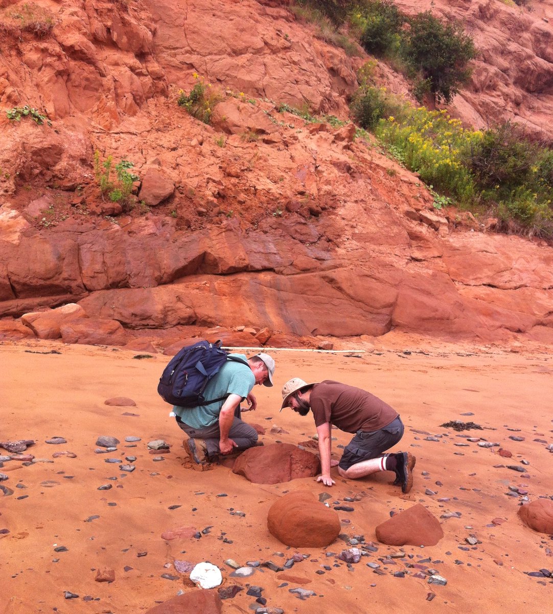 Hillary Maddin tweet media