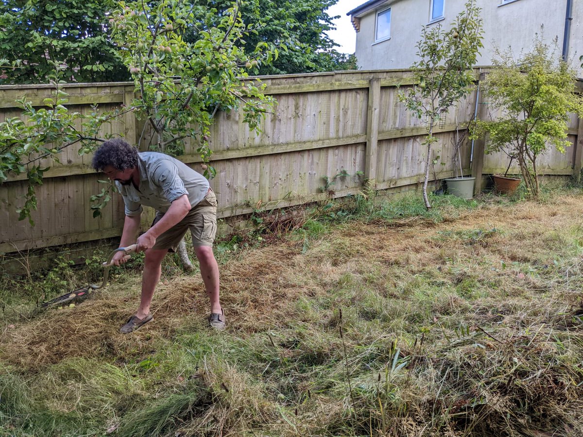 Nicholas Courtman tweet media