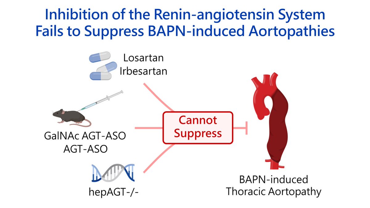 ATVB: An AHA Journal (@atvbahajournals) on Twitter photo Inhibition of the Renin-angiotensin System Fails to Suppress β-Aminopropionitrile-induced Thoracic Aortopathy in Mice <a href="/alan_daugherty/">Alan Daugherty</a> @hisashi_sawada@honglu227
ahajrnls.org/3AxfRxw Inhibition of the Renin-angiotensin System Fails to Suppress β-Aminopropionitrile-induced Thoracic Aortopathy in Mice <a href="/alan_daugherty/">Alan Daugherty</a> @hisashi_sawada@honglu227
ahajrnls.org/3AxfRxw