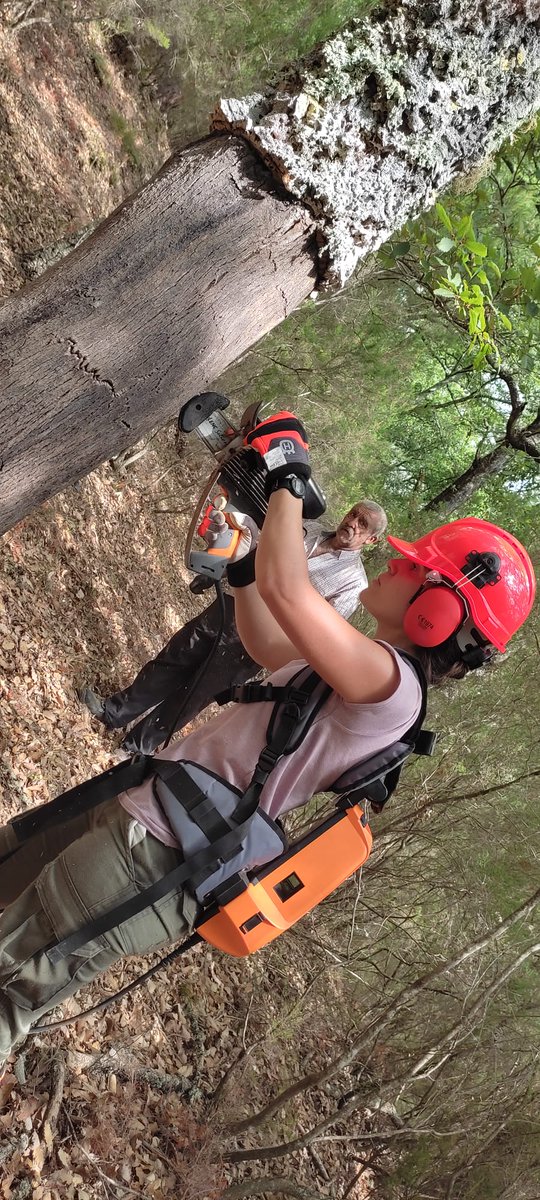 cicloforestal's tweet photo. Este curso hemos ampliado cupo de alumnado para el Grado Superior de Gestión Forestal. Aún queda alguna plaza libre que puedes pillar; solo tienes que presentar tu solicitud a partir del 1 de septiembre en la secretaría virtual de educación. #forestal https://t.co/GFgNACb1Oy