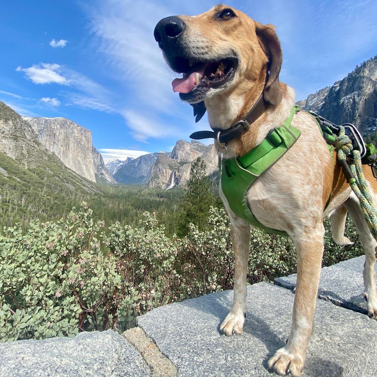 Andy Goh tweet media