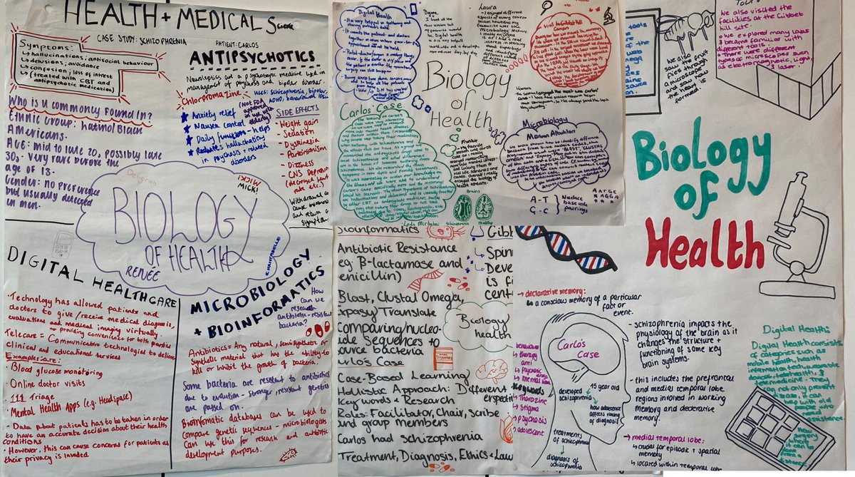 LMirbahai's tweet photo. Last day of Sutton Trust Summer School: Biology of Health Stream. Its been a great week and the students did an amazing job of presenting their findings! Very proud of them :) Thanks to Emily, Catherine and the team for organising the event @OutreachWarwick https://t.co/27DhSo1ljf