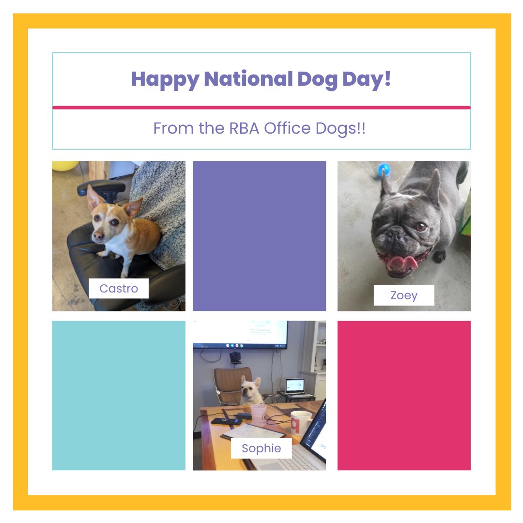 rbadtx's tweet photo. Happy National Dog Day from all of our adorable RBA office dogs!!💙 🐶 https://t.co/YApQf1SarP