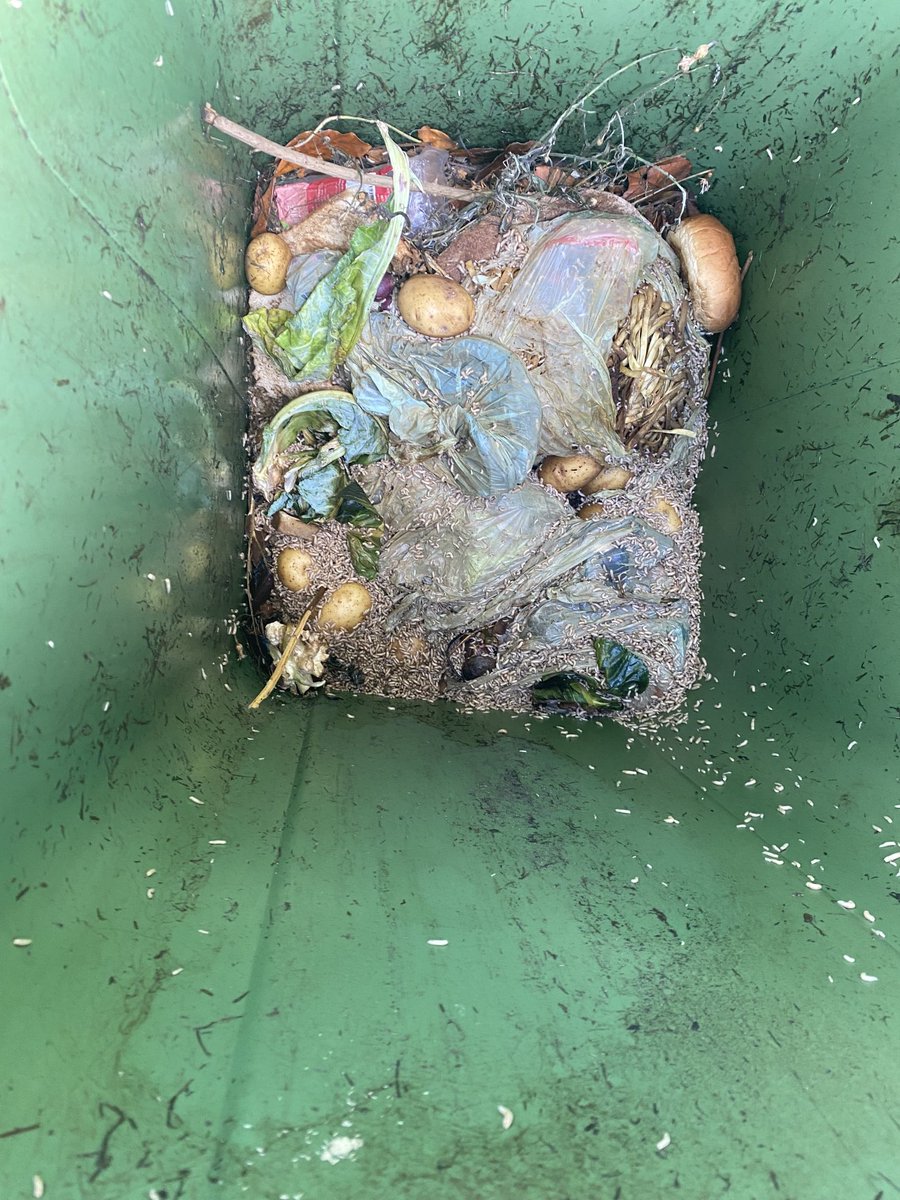 davenewhall1's tweet photo. thanks yet again ⁦@OneTrafford⁩ for missing my green bin. i now a very unpleasant maggot collection! not acceptable how can you only collect half a street?? https://t.co/iNC4zaOSYl