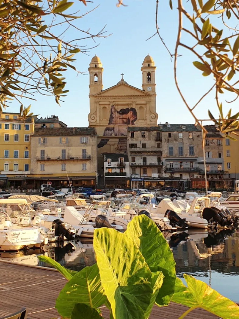 Corsica Ferries tweet media
