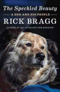 BlazeLibrary's tweet photo. Celebrate #nationaldogday2022 with these books by @DogUmwelt, #rickbragg, @JennyBoylan & @wbrucecameron ! #dogs #DogsOnTwitter https://t.co/uWtxzp8qCQ