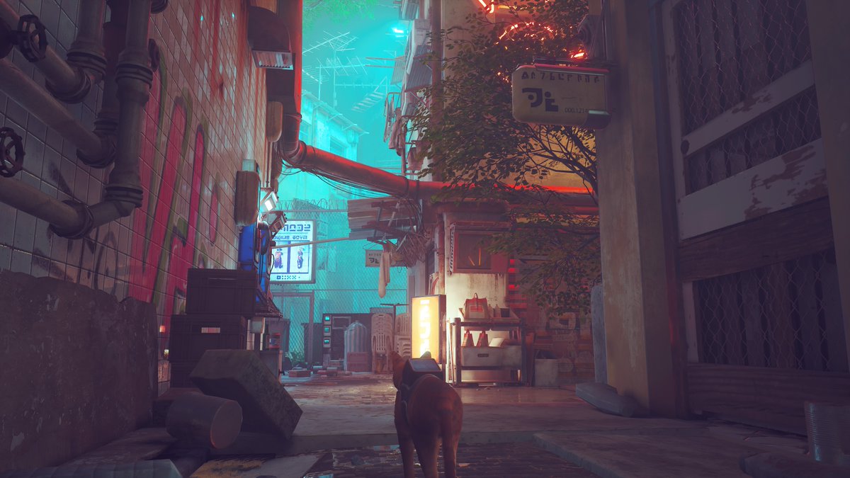 BadMonster_Fr's tweet photo. #PS5Share, #Stray https://t.co/LkzbA2SR5G