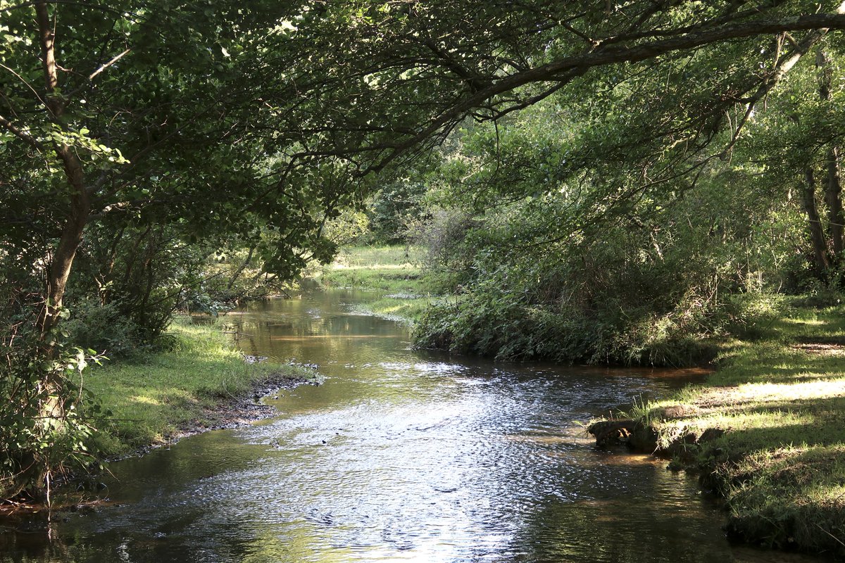 Little Cottage tweet media