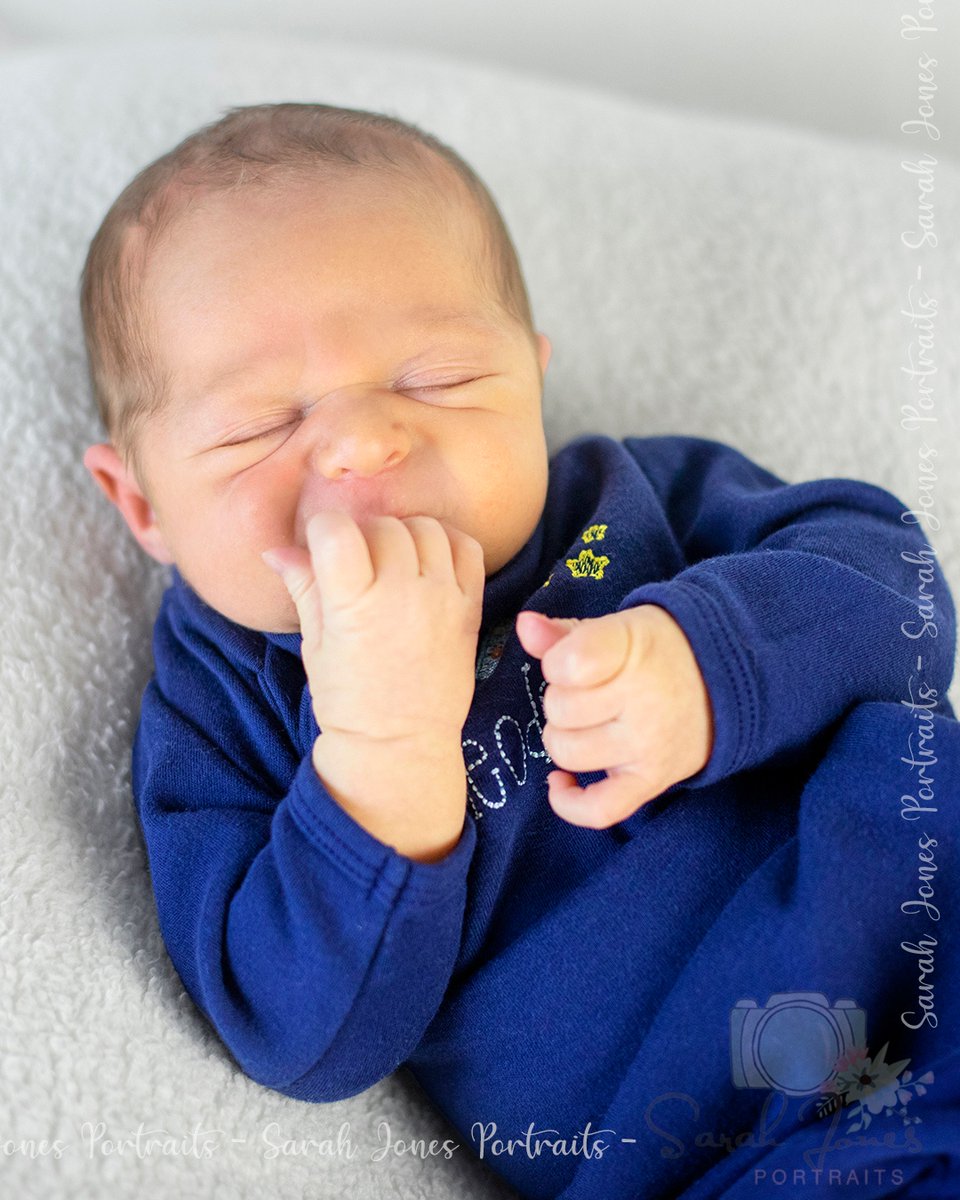 #sarahjonesportraits #milestonephotos #growwithme #watchmegrow #newbornportraits #newbornphotos #lifestylephotography #lifestylephotographer #springhilltn #franklintn #columbiatn