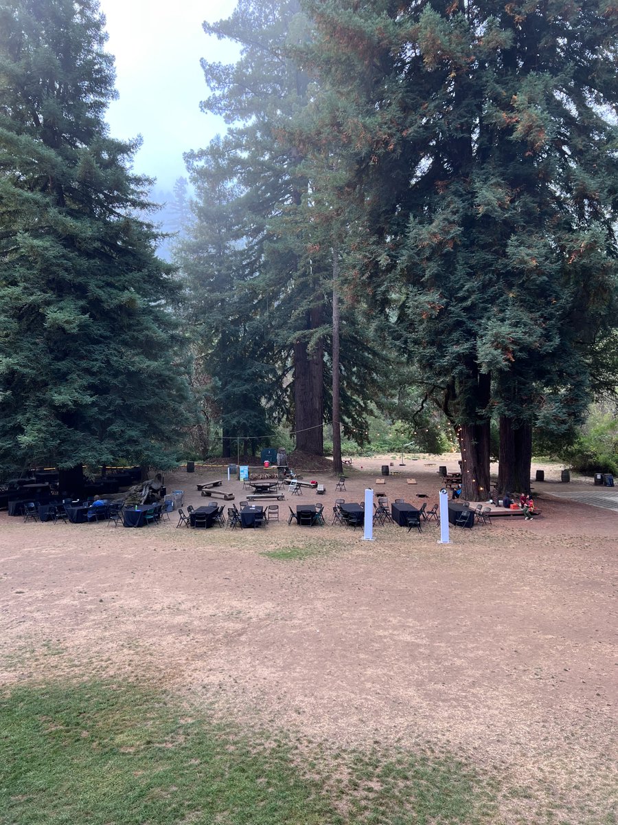 TechSoup's tweet photo. Our very own Chief Community Impact Officer, @webb, is attending #DWebCamp2022 - a five-day retreat for builders and dreamers, to gather in nature to tackle the real world challenges facing the web.
Learn more about @GETDWeb: https://t.co/fIEpPYUE8J
#Tech4Good #Tech4Humans https://t.co/9xFsY80DPa