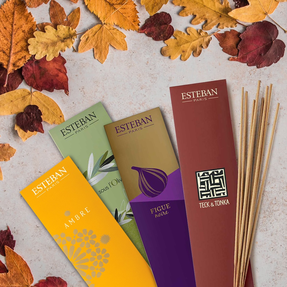 Esteban Paris USA tweet media