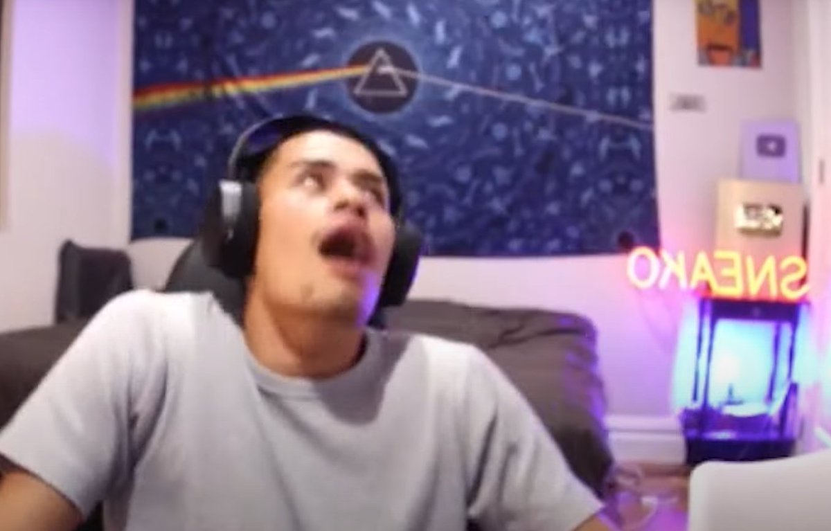 all you need to know about Sneako is that he screams about how everything remotely liberal/progressive/leftist is stupid and awful

with a massive Pink Floyd banner behind him