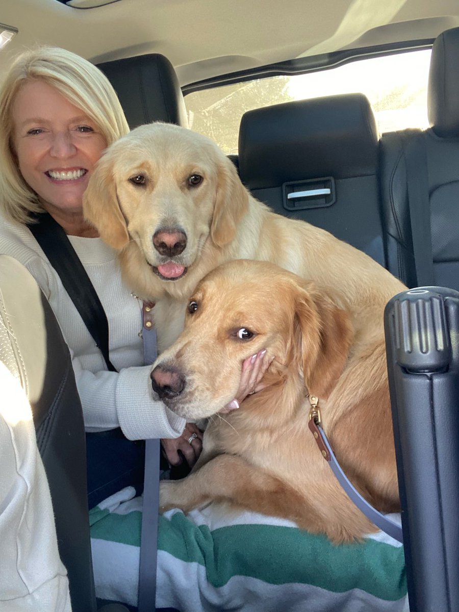 Happy #NationalDogDay to these two silly pups who always bring the biggest smile to my face! 🤎 you, Harper and Finn!