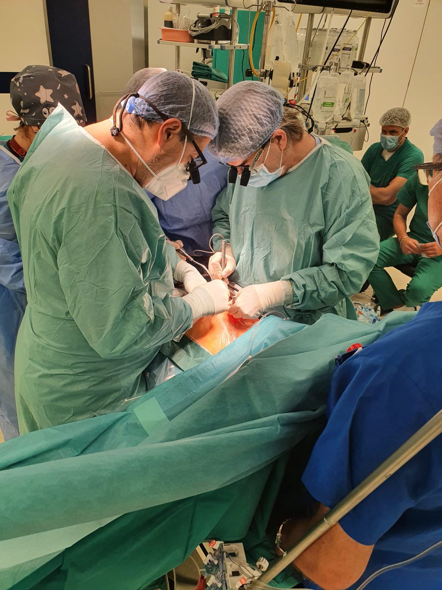 Pleasure proctoring the Team at Dedinje Cardiovascular Institute on a Frozen Elephant Trunk procedure with the Evita Open Neo hybrid prosthesis. Nice to be among friends!