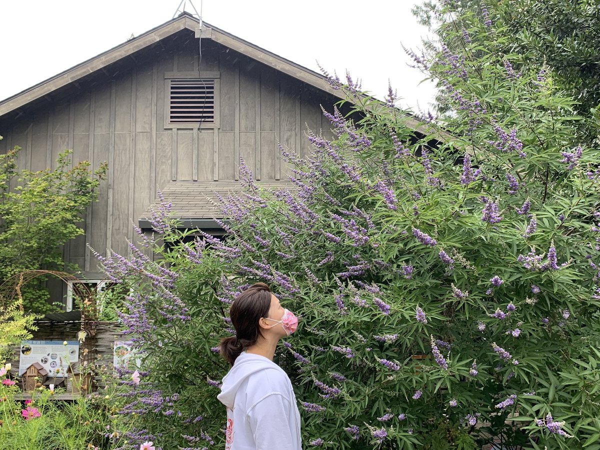 Rising Star @ African American Academy tweet media