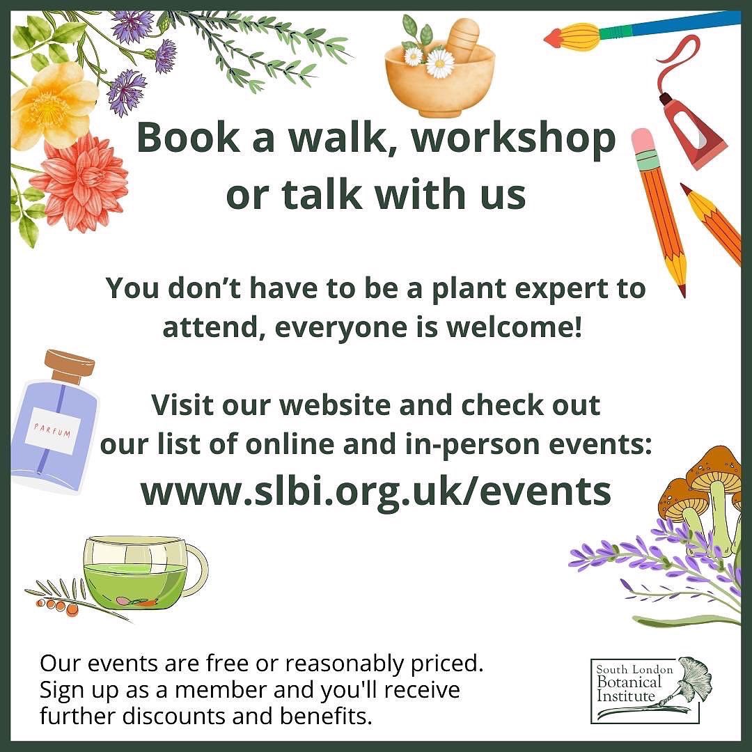 South London Botanical Institute tweet media