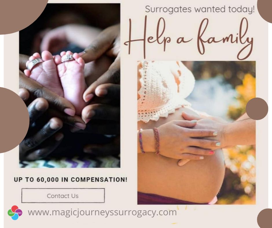 Magic Journeys tweet media