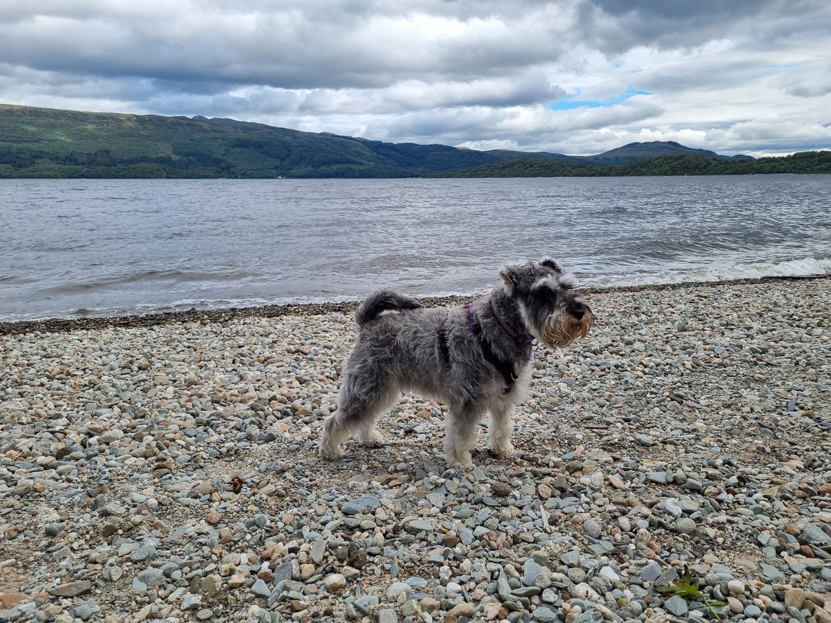 Happy #InternationalDogDay ! Ada ❤️