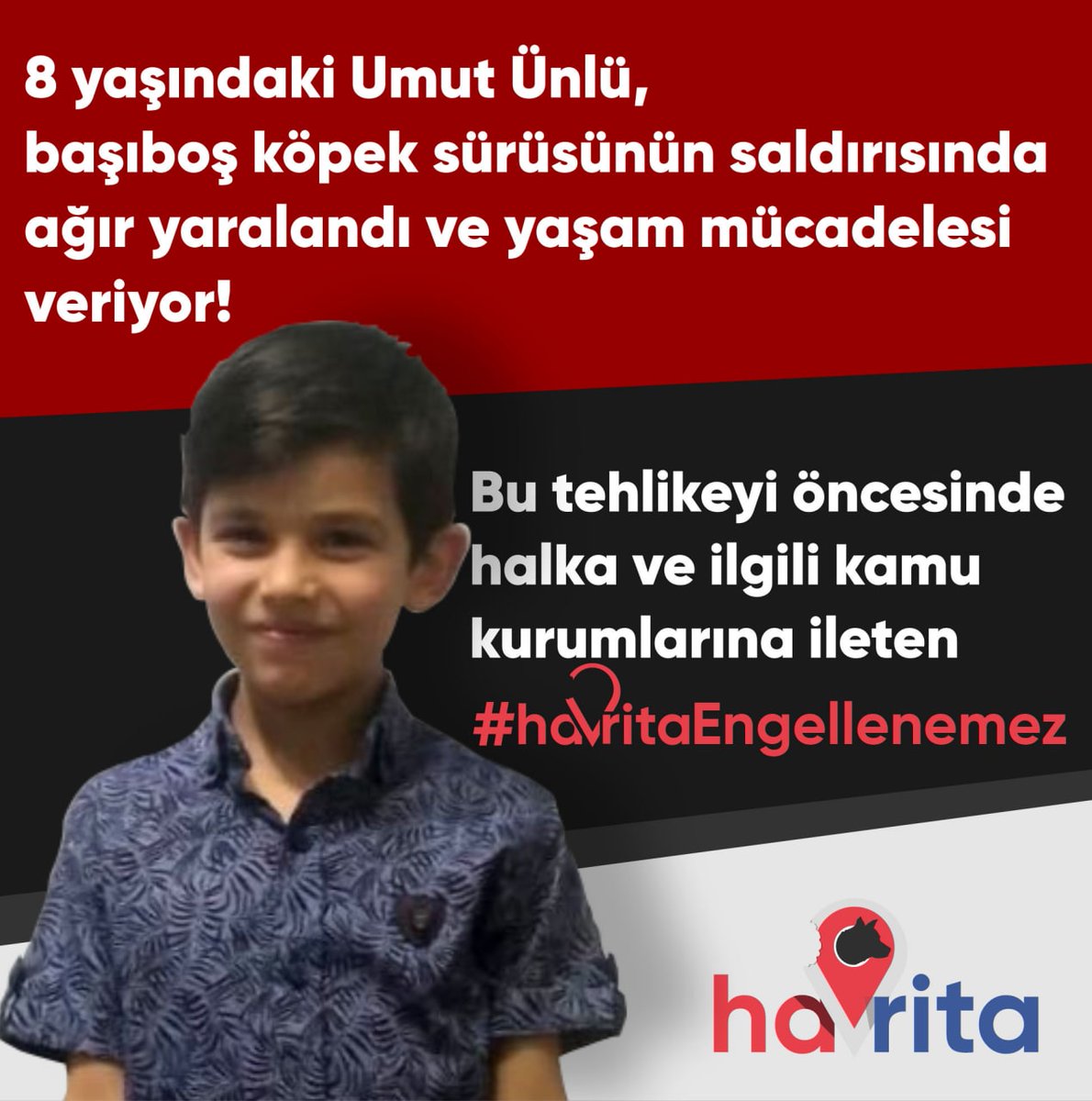 İyi niyetle yapılan, köpek yemş satanların tezgahını bozan havritaya engel konulmasaydı belki şu an bu çocuğumuz hastanede yaşam mücadelesi vermeyecekti.
#HavritaEngellenemez