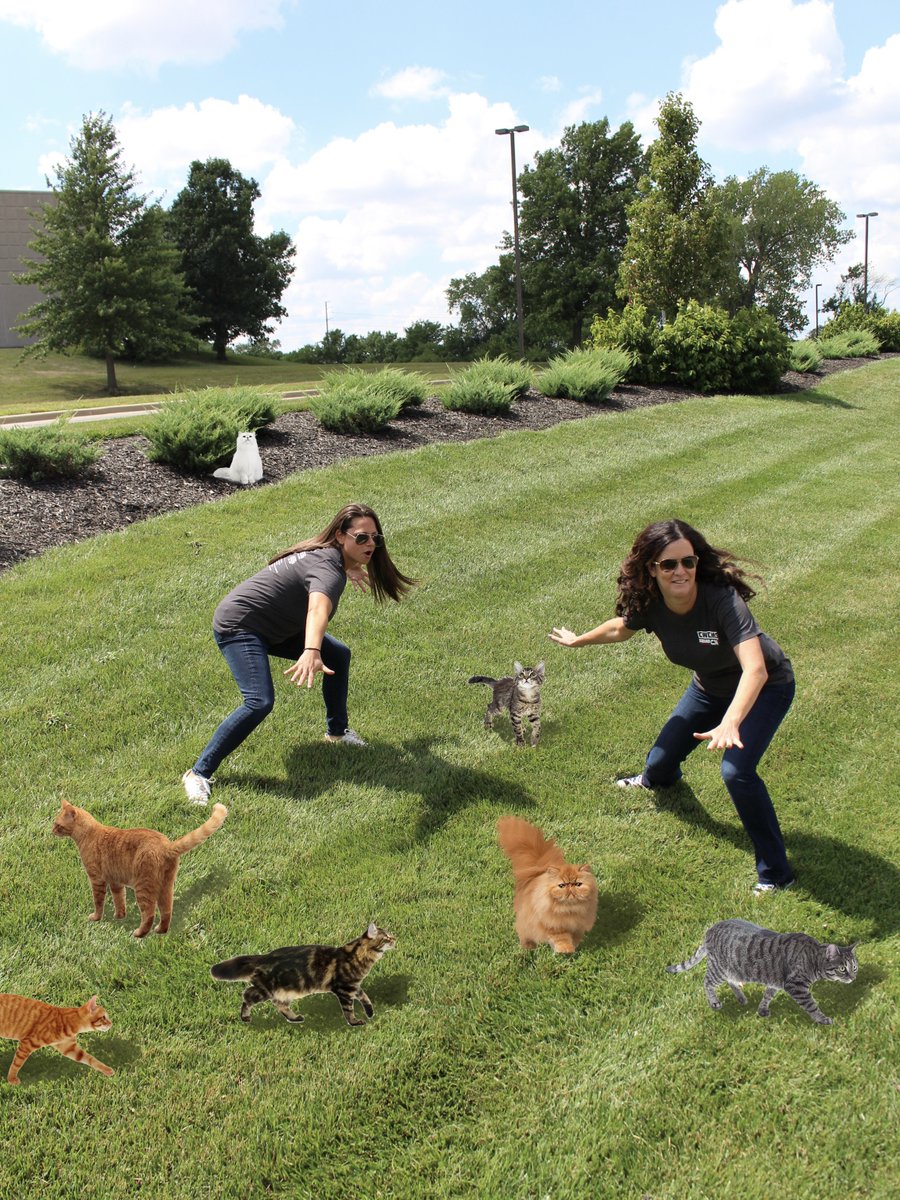 Nicole and Tasha, IT Product Managers at City Wide share more than just an office, they share a friendship!

"It's hard to explain just how amazing Tasha is, I knew from the moment she started working with City Wide as a contractor, I needed her in my life and HAD to figure...