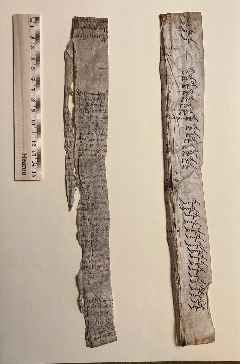 A #FragmentFriday mystery (to me, at least). I can make out amounts (e.g., 'xxd') so a ledger(?), but having difficulty with text. I believe I see 'dono' and other such terms, so perhaps listing gifts or receipt of funds? Script appears English in origin. Ideas? #fragmentology