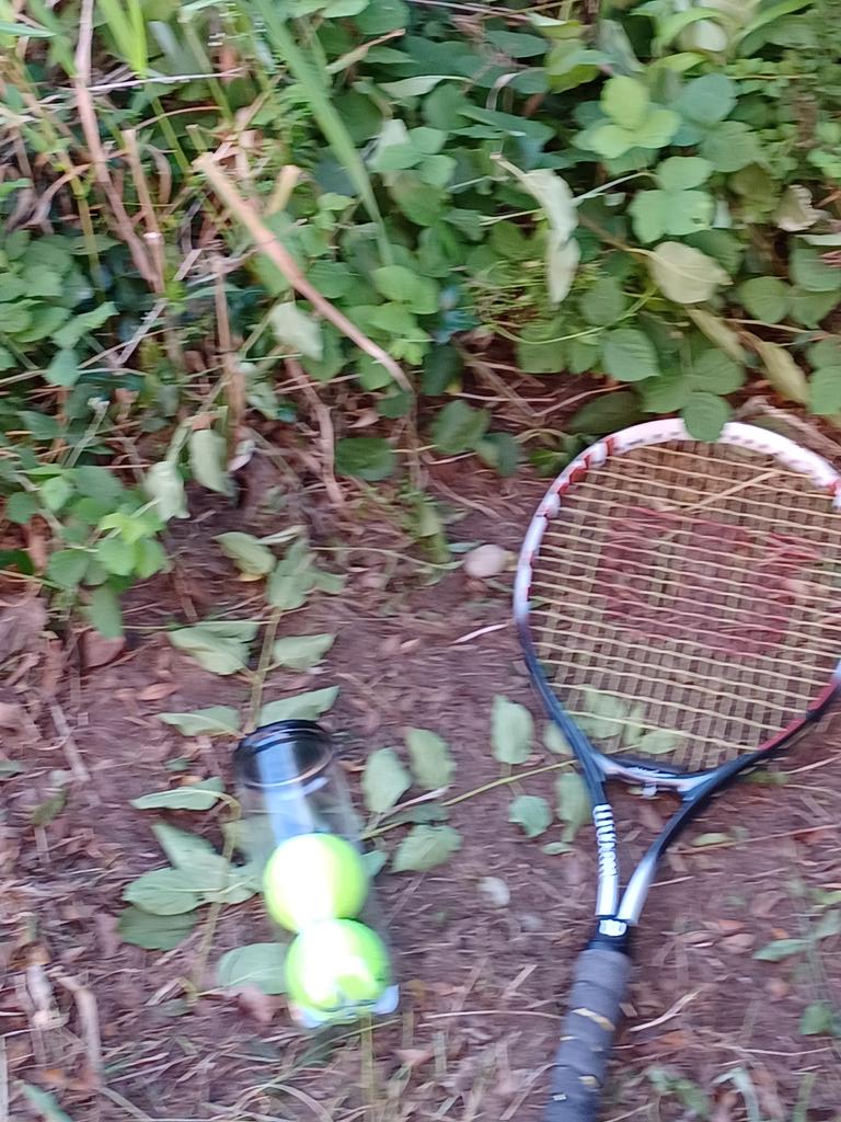 Marlund Chottiner tweet media