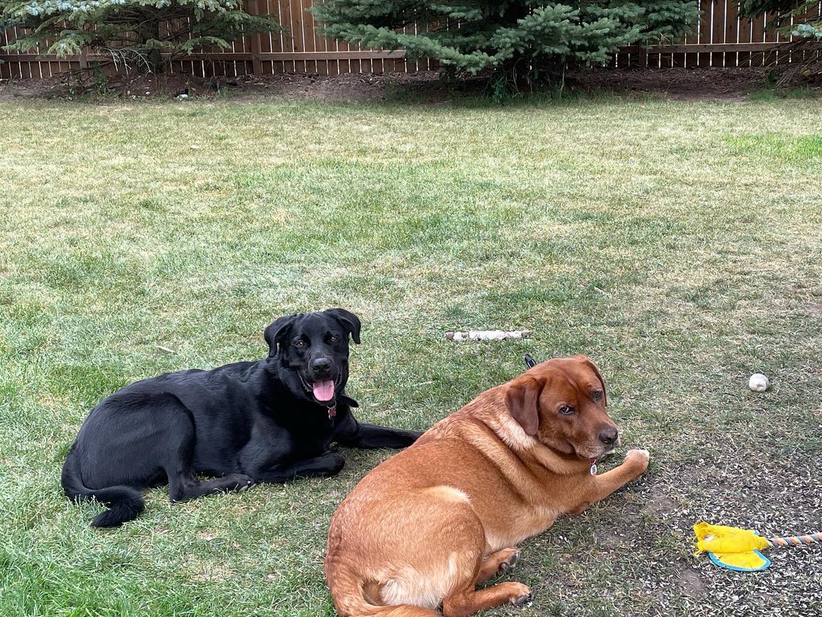 StephanieVeeck's tweet photo. @BounceRadio1041 Bennyboop and Rudyattitudy. ❤️ https://t.co/qJstNniZTg