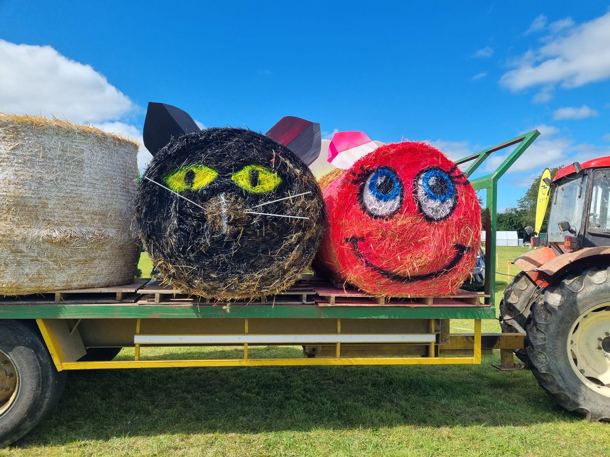 Everyone coming in now