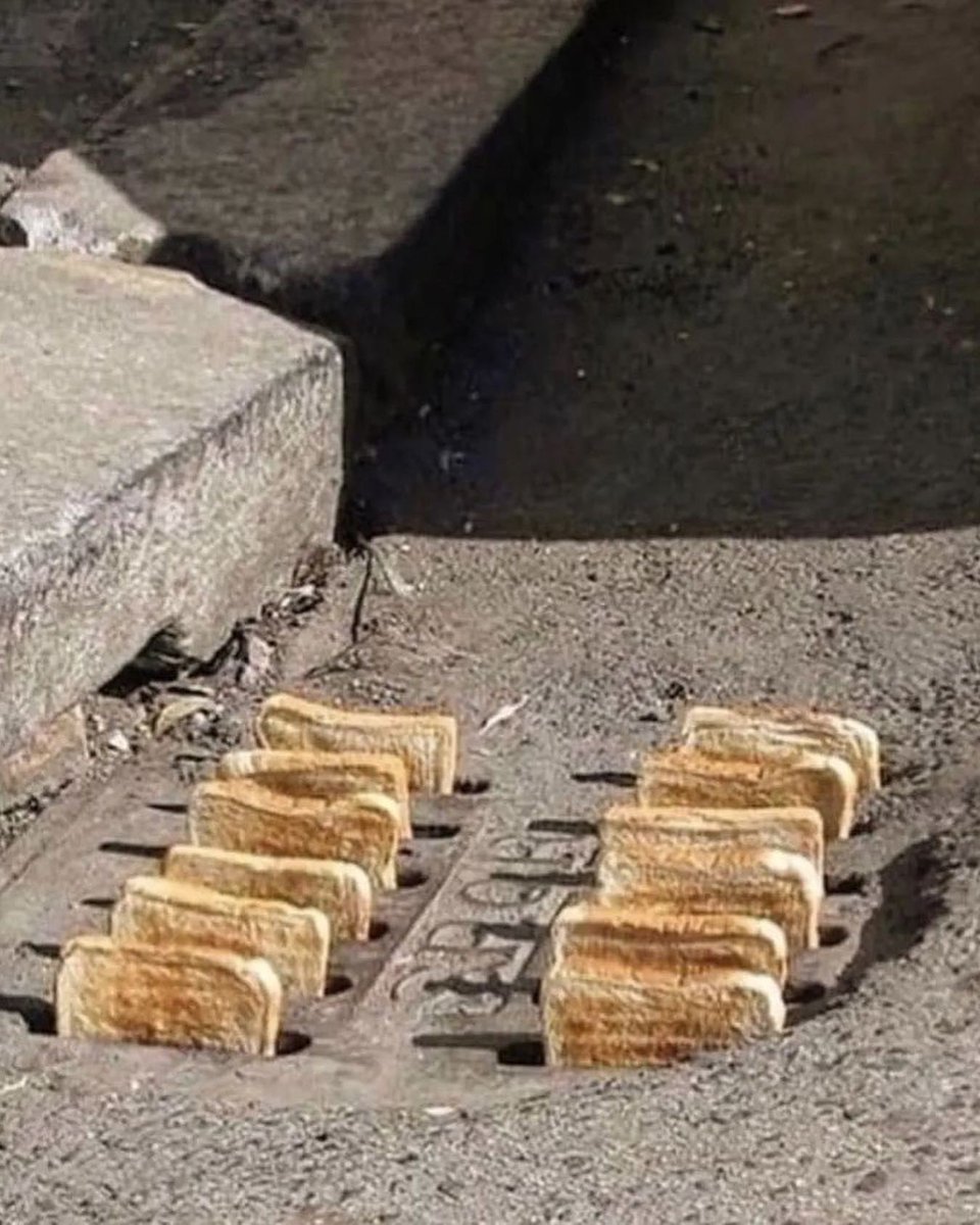 weirdtripclub's tweet photo. Food & drink inspiration ©
#WeirdTrip #Foodporn #hydration https://t.co/fffwgP1XuN
