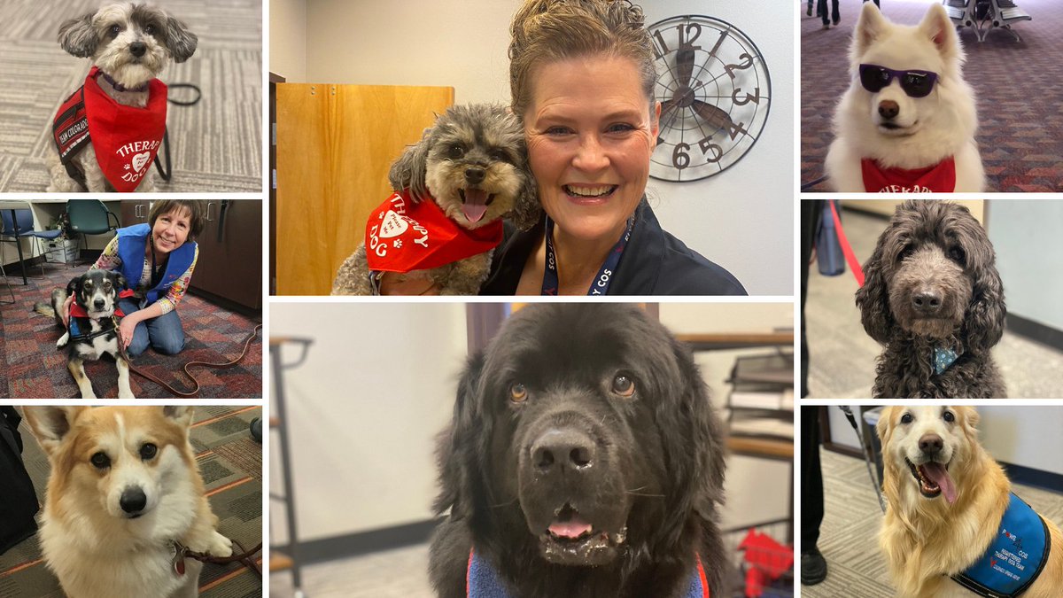 COSAirport's tweet image. 🐶 Happy #NationalDogDay from our furry friends on our #PAWS4COS dog therapy team!